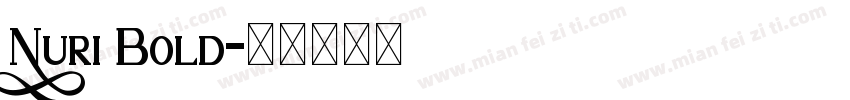 Nuri Bold字体转换